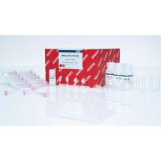 KIT EXTRAÇÃO RNEASY MINI KIT (RENDIMENTO: 50 EXTRAÇÕES) QIAGEN