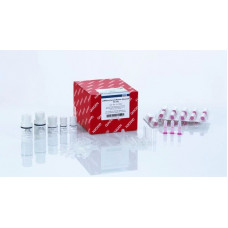 KIT EXTRAÇÃO RNEASY MINI KIT     QIAGEN