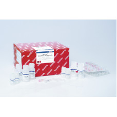 KIT EXTRAÇÃO ALLPREP DNA/RNA MINI KIT     QIAGEN