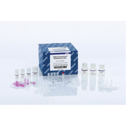 AllPrep PowerFecal DNA/RNA Kit