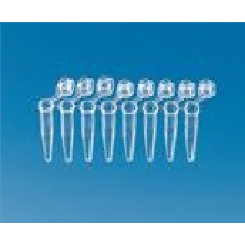 TIRA C/ 8 TUBOS P/ PCR 0,2 ml PP PURO TRANSP. C/TAMPA - STANDARD BRAND - 960 TB TIRA C/ 8 TUBOS P/ PCR 0,2 ml PP PURO TRANSP. C/TAMPA - STANDARD BRAND - 960 TB