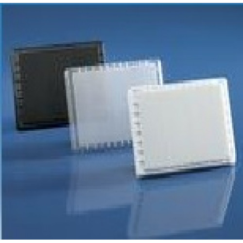 PLACA 96 POÇOS PUREGRADE FUNDO V PS ESTERIL, STANDARD, SEM TAMPA, TRANSPARENTE, 360 µl (EMB. C/ 50) BRAND PLACA 96 POÇOS PUREGRADE FUNDO V PS ESTERIL, STANDARD, SEM TAMPA, TRANSPARENTE, 360 µl (EMB. C/ 50) BRAND