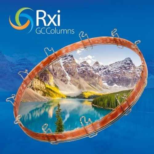 RTX-1 10mx0,10mm FILME 0,10um COLUNA CAPILAR CG RESTEK RTX-1 10mx0,10mm FILME 0,10um COLUNA CAPILAR CG RESTEK