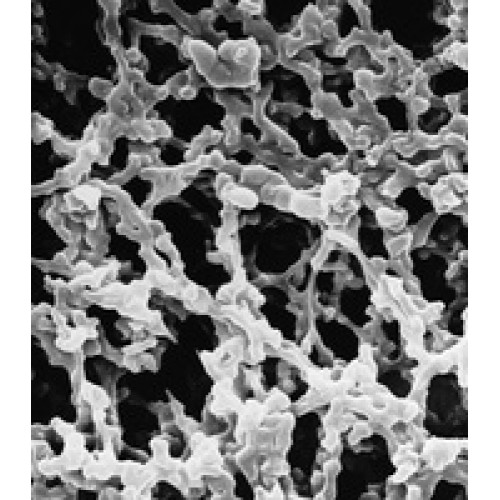 MEMBRANA FILTRAÇÃO MISTURA ESTERES SS DIAM. 13mm PORO 3,0um BRANCA LISA (CX) MILLIPORE MEMBRANA FILTRAÇÃO MISTURA ESTERES SS DIAM. 13mm PORO 3,0um BRANCA LISA (CX) MILLIPORE