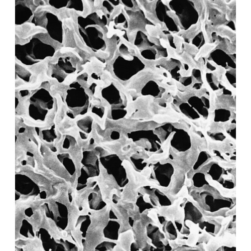 MEMBRANA FILTRANTE PVDF DURAPORE SV DIAM. 90mm PORO 5,0um BRANCA LISA MILLIPORE (EMB. 50 UND) MEMBRANA FILTRANTE PVDF DURAPORE SV DIAM. 90mm PORO 5,0um BRANCA LISA MILLIPORE (EMB. 50 UND)